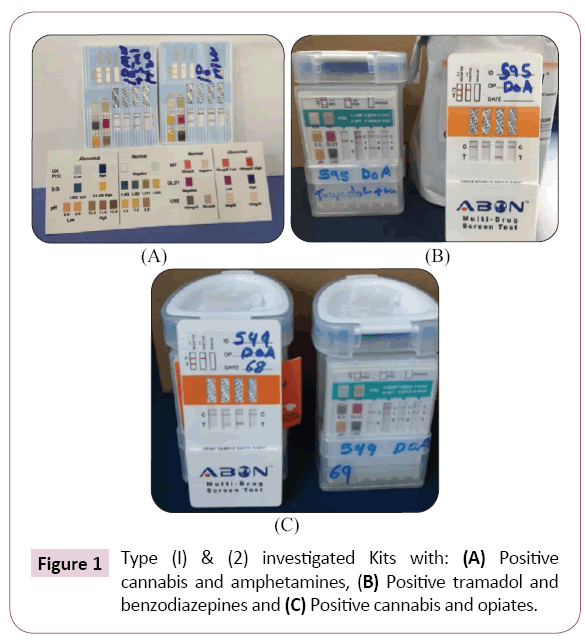 Efficiency Evaluation Of Urine Collection Vessels With Impeded Urine Adulteration Substance Of Abuse Soa Rapid Detection Test Strips Insight Medical Publishing